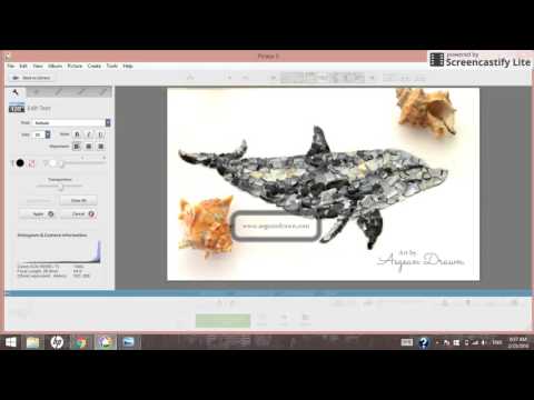 Creating Custom Watermarks in Picasa