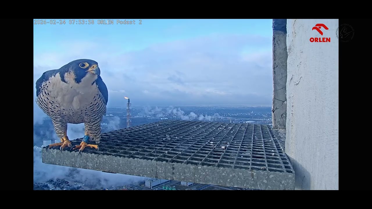ORLEN PŁOCK _ CZ 2_komin G2 _ Namawianie na spotkanie