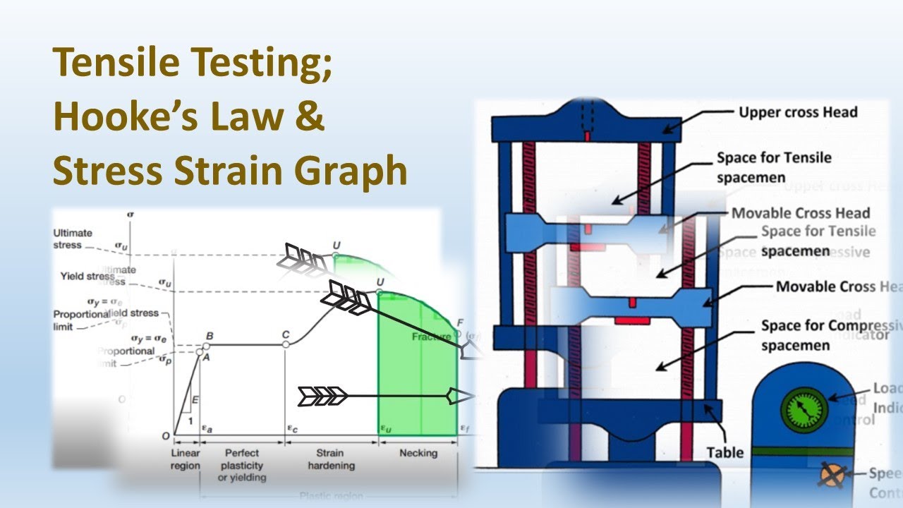 Hooke's Law; Tensile testing; Stress Strain Graph YouTube