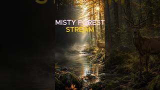 Streams - Mist