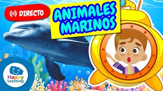 🔴DIRECTO | 🐠🐋 Curiosidades de los Animales Marinos | Vídeos Educativos para Niños de PRIMARIA