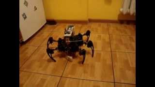 Autonomous Hexapod Phoenix ver 1.0
