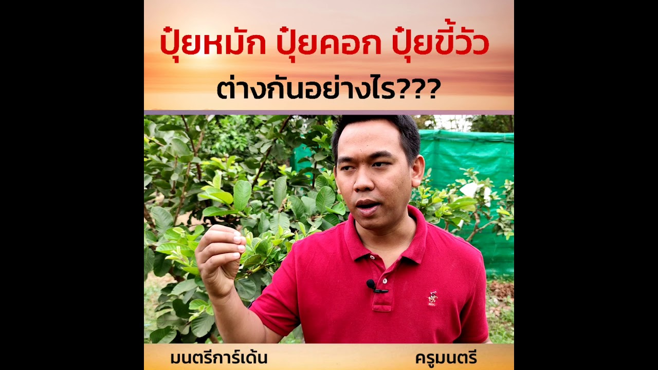 ปุ๋ยหมักปุ๋ยคอกคืออะไร