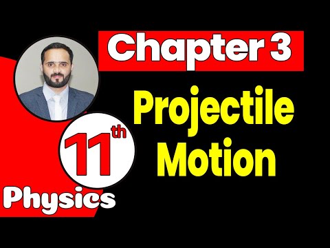 1st Year Physics