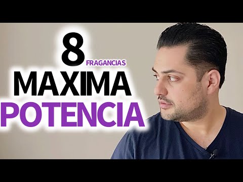 Top 8 Fragancias