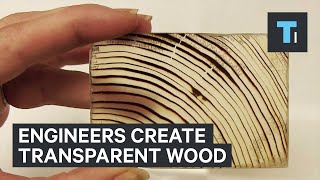 Engineers create transparent wood