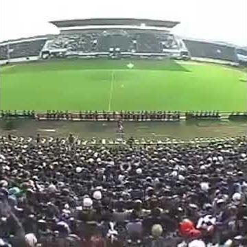 Arema T-REK story wa