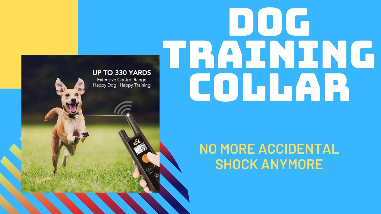 Dog Training Collar waterproof Dog Care BEST dog training collar