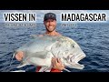 Vissen In Madagascar - The Land Of The Giants - Part 2 Of 3