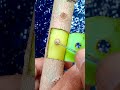 Amazing grafting technique🌳🌳#airlayering #ombur #grafting #bonsai #gardening #diy #craft
