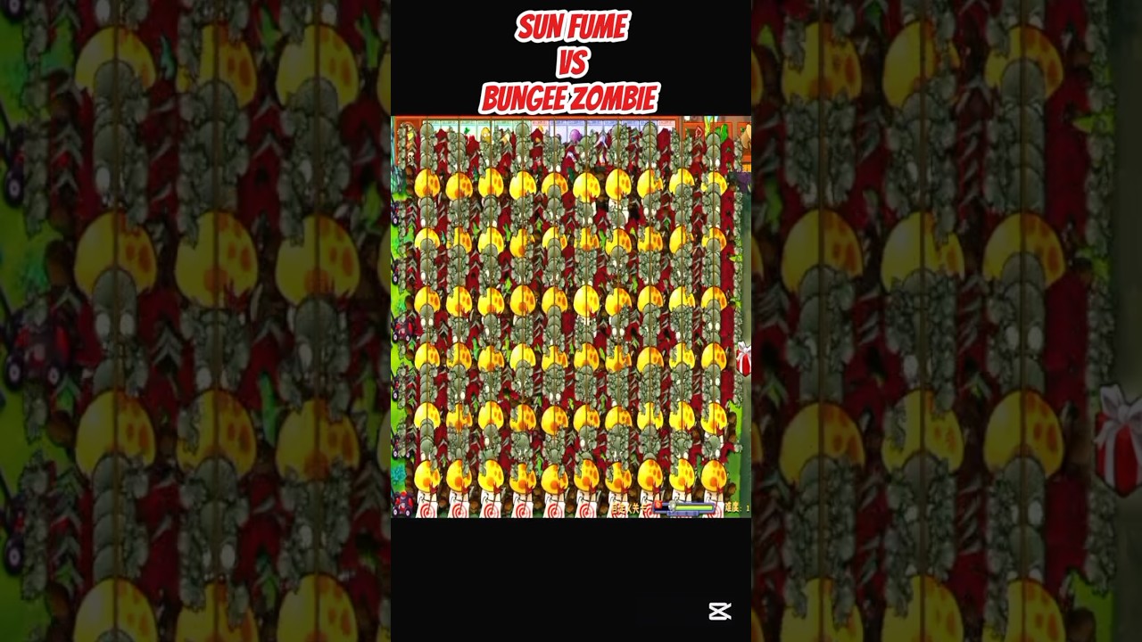 *SUN FUME VS BUNGEE ZOMBIE*