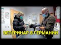 ВЕТЕРИНАР В ГЕРМАНИИ. ВАКЦИНА ДЛЯ СОБАК. СКОЛЬКО СТОИТ ПРИЁМ К ВРАЧУ?