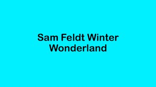 Sam Feldt Winter Wonderland Lyrics