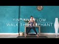 Yin Yang Flow: Walk the Elephant