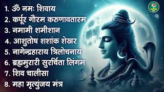 सोमवार भक्ति भजन - आशुतोष शशाँक शेखर, कर्पूर गौरम करुणावतारं, ॐ नमः शिवाय,  शिव अमृतवाणी व शिव आरती