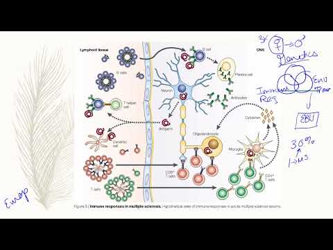 Multiple Sclerosis