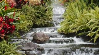 Windows Vista Sample Pictures