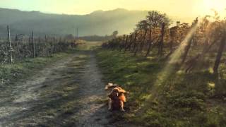 269238099 Montalto Pavese 2 11 15 HQ