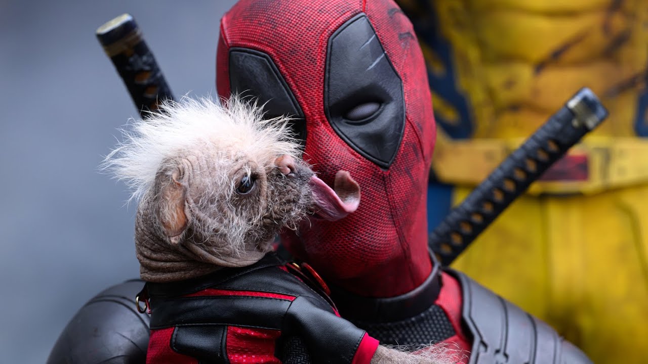 Deadpool & Wolverine - Digital, 4K Ultra HD, Blu-ray and DVD