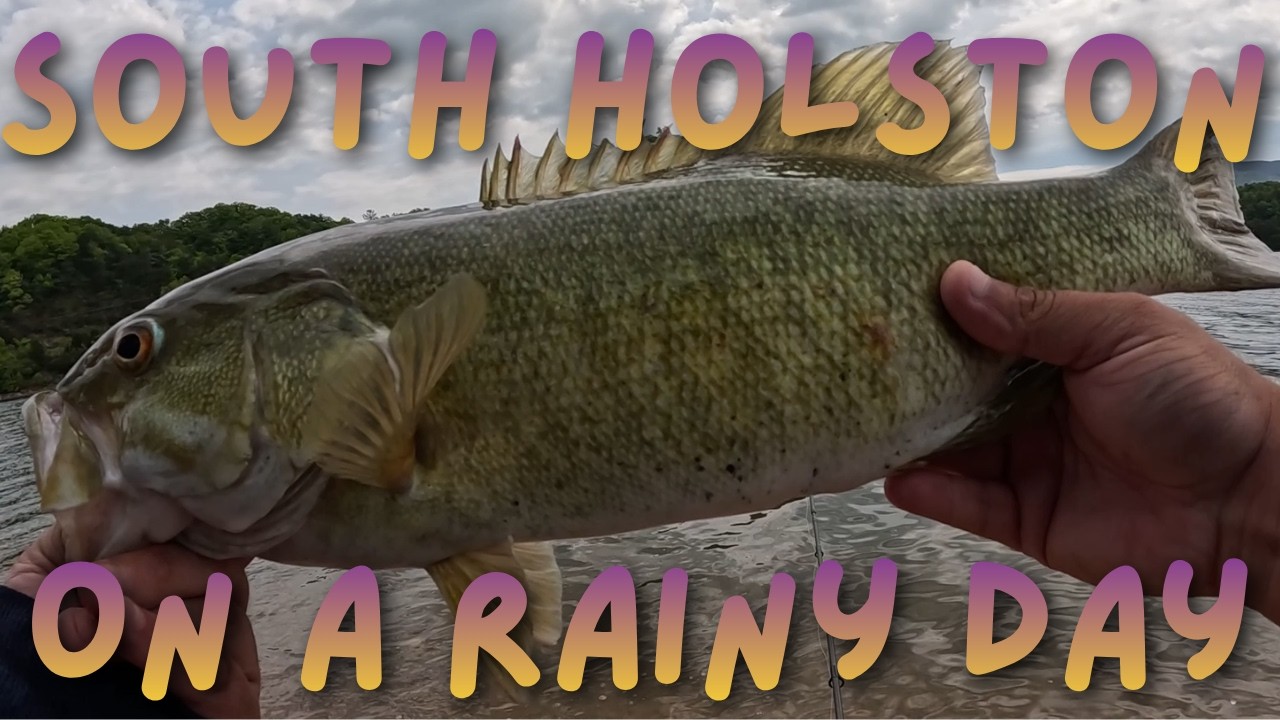 Rainy Windy Day Fishing at South Holston
