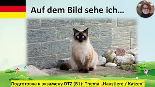 : Auf dem Bild sehe ich... Haustiere B1 deutsch - russisch