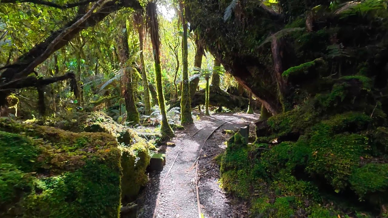 4K Relaxing Forest Walk | No Talking Nature Ambience - YouTube