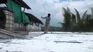 Colombia Innova Bacterias Que Limpian Las Fuentes De Agua En Colombia