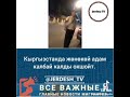 Тоба Кыргызстанда жөнөкөй адам калбай барататко жашы деле карысы деле мамлекеттин адамына асылып