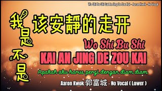 Wo Shi Bu Shi Kai An Jing De Zou Kai      Aaron Kwok  s Lower 