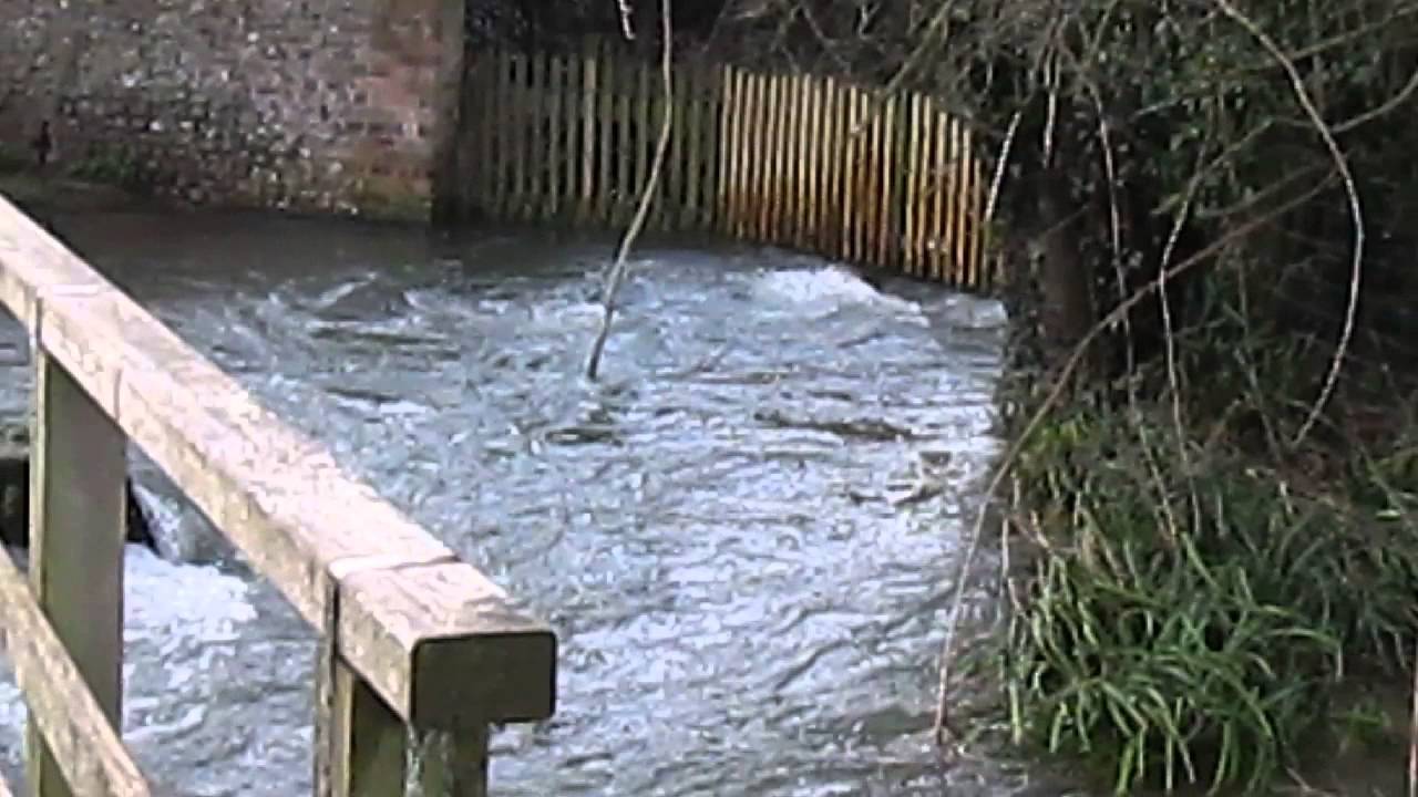 Charminster River Flooding 2 (8.2.2014)