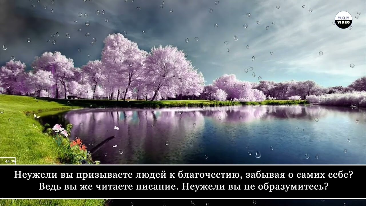 Surah baqarah complete by Umair Shamim heart soothing and relaxing voice 