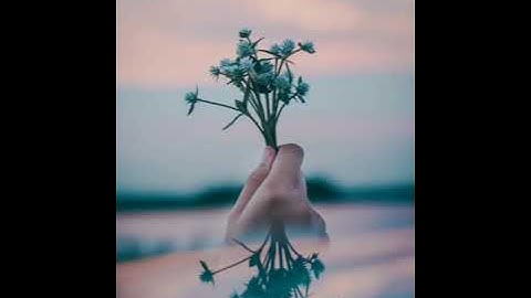 The distance between your dream and reality is called action