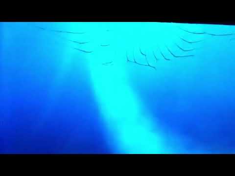 Finding Nemo righteous in Japanese