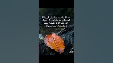 القران الكريم 🥹♥️#اهميه #اكسبلور #automobile #اهميه #لايك #ترند #النظافه #افلام #فولو
