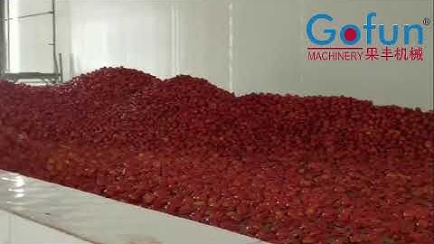 A to Z solution for tomato paste concentrate production plant tomato sauce ketchup processing line