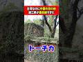 目の前に中国！？台湾の離島が最前線すぎた
