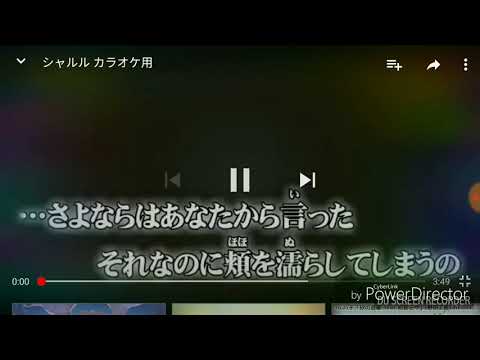 シャルルをMIX無しで歌ってみた【歌ってみた】