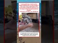 Heavy Duty Adjustable Hitch For Versatile Towing And Level Loads