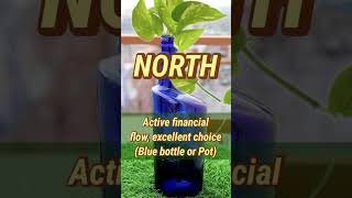 Money Plant Vastu: Best Direction for Wealth 💰 #VastuTips #MoneyPlant #Wealth #HomeVastu #reels