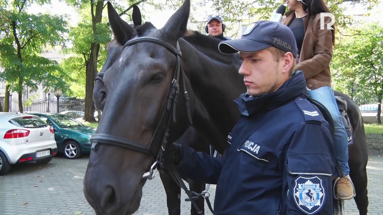 Policja konna w Radiu Poznań