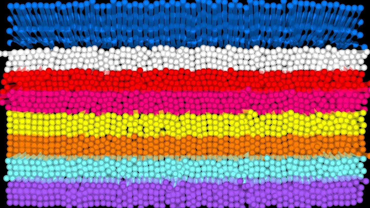 The Rainbow 6 Leg Eliminations Marble Race In Algodoo