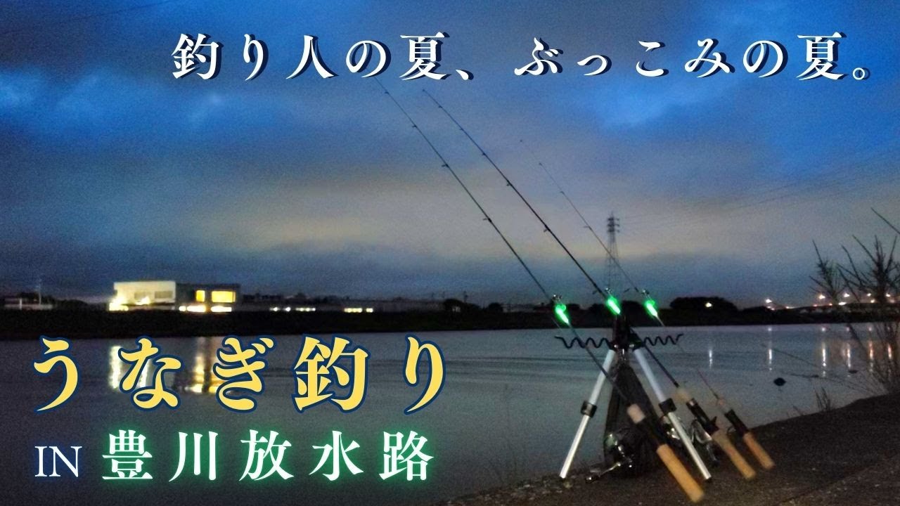 豊川 うなぎ 釣り