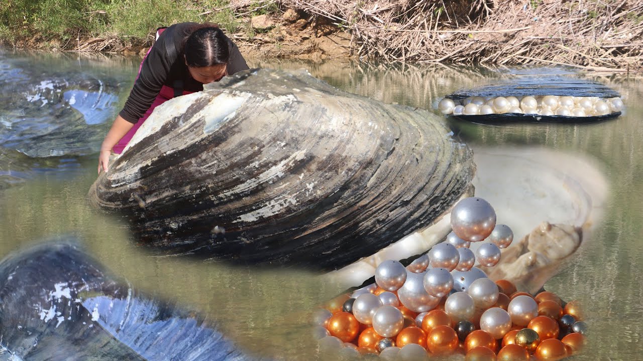 Умирающая девушка-моллюск борется со временем, чтобы спасти реку и её скрытую жемчужину.