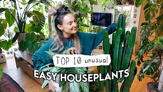 10 EASIEST Unusual Indoor Plants  Easy Houseplants Even YOU Can't Kill