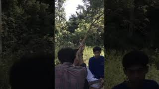 Chintya Gabriella - Percaya Aku