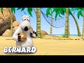 Bernard Bear | Stranded On An Island! AND MORE | Cartoons for Children | Full Episodes