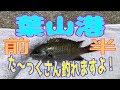 釣り動画ロマンを求めて　61釣目（葉山港：前半）