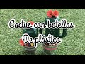 Cactus con botellas de plástico