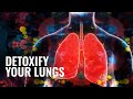417 Hz Lung Healing Frequency Lung Detox Frequency Lung Cleansing 
