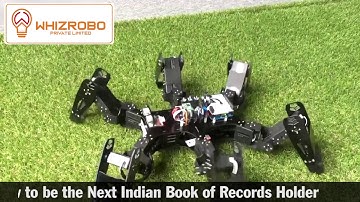 Robot on six legs